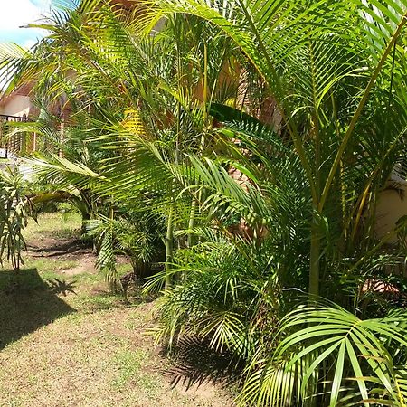 Hotel Boutique Sol Y Luna Spa Ajijic Exterior photo