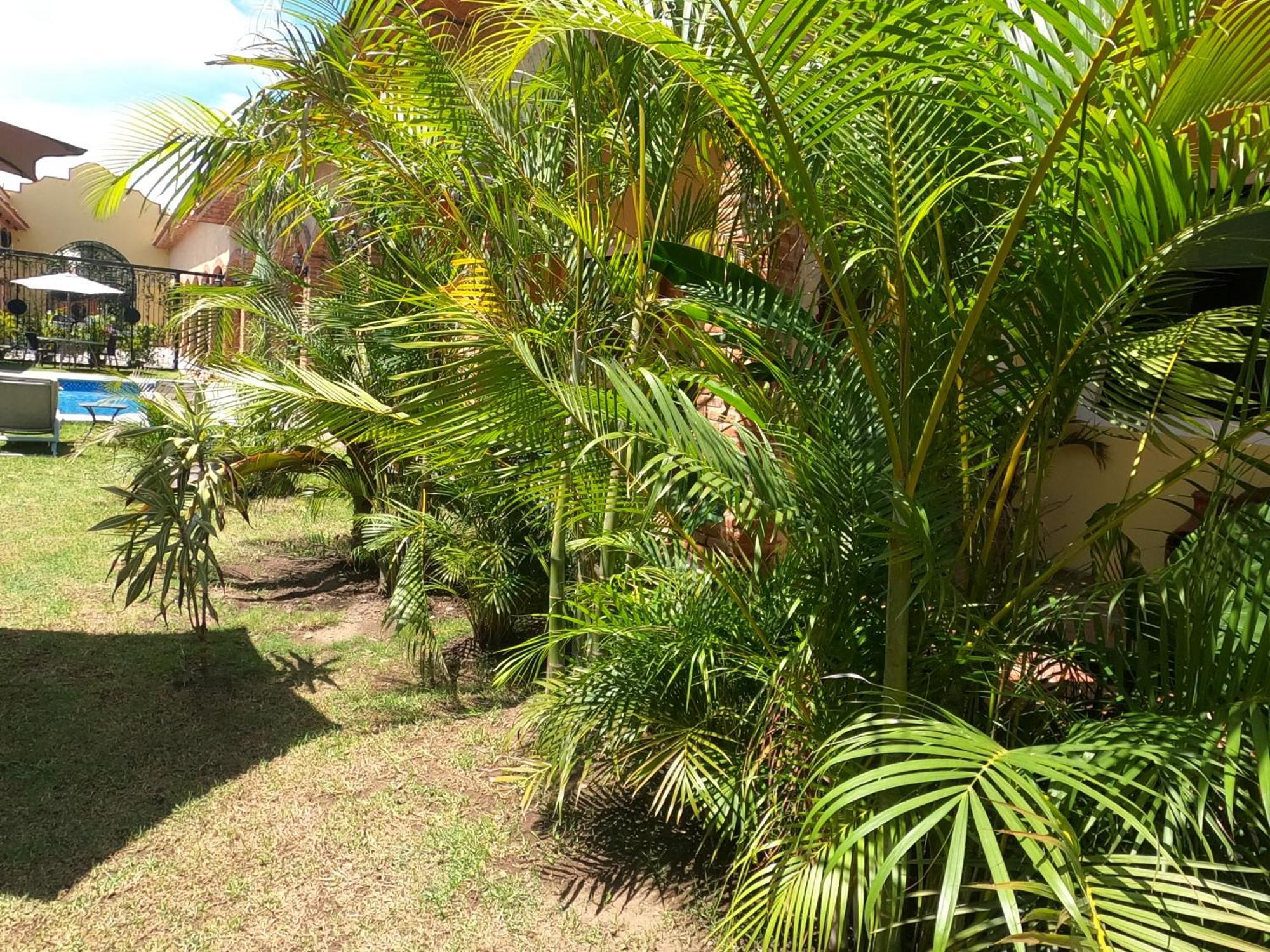 Hotel Boutique Sol Y Luna Spa Ajijic Exterior photo